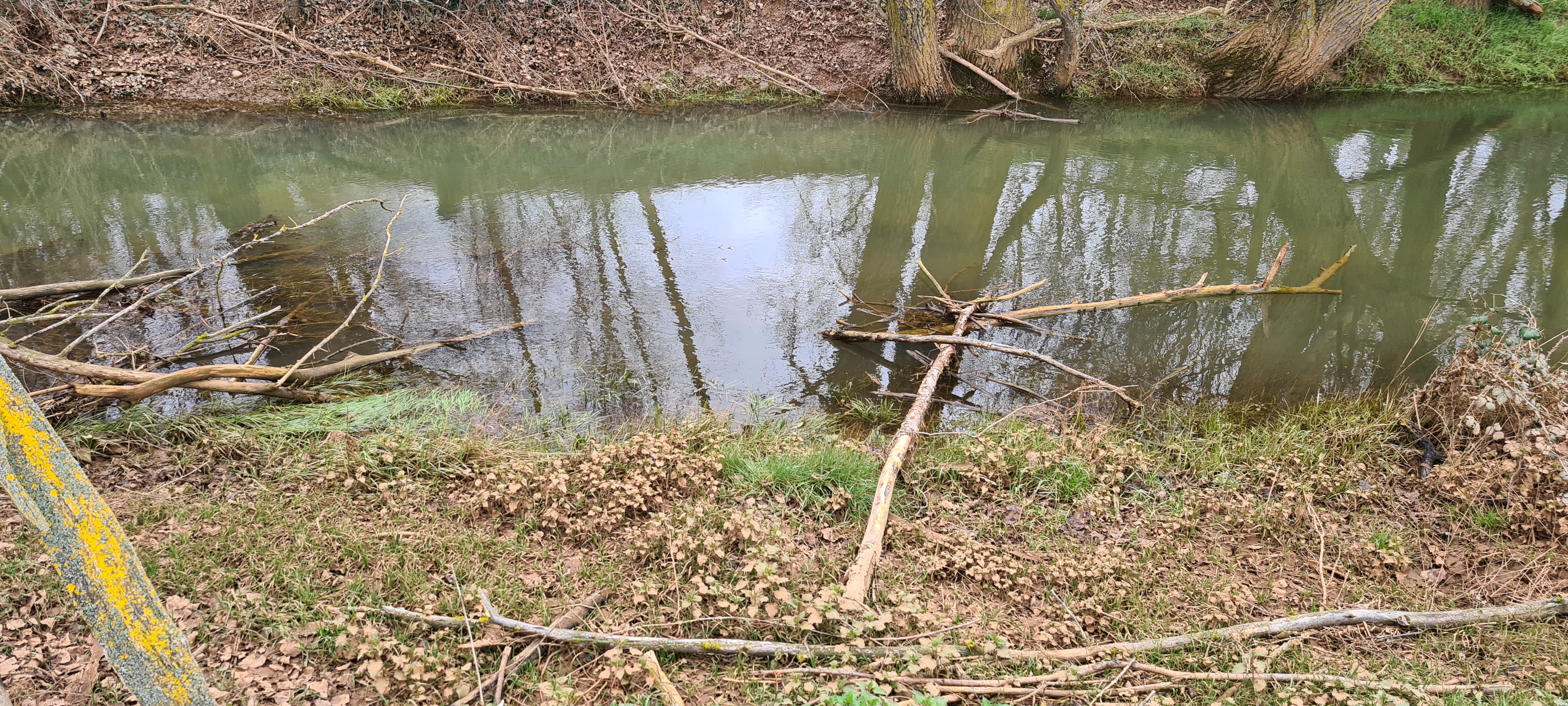 Río Cubillo, afluente del Arlanzón.