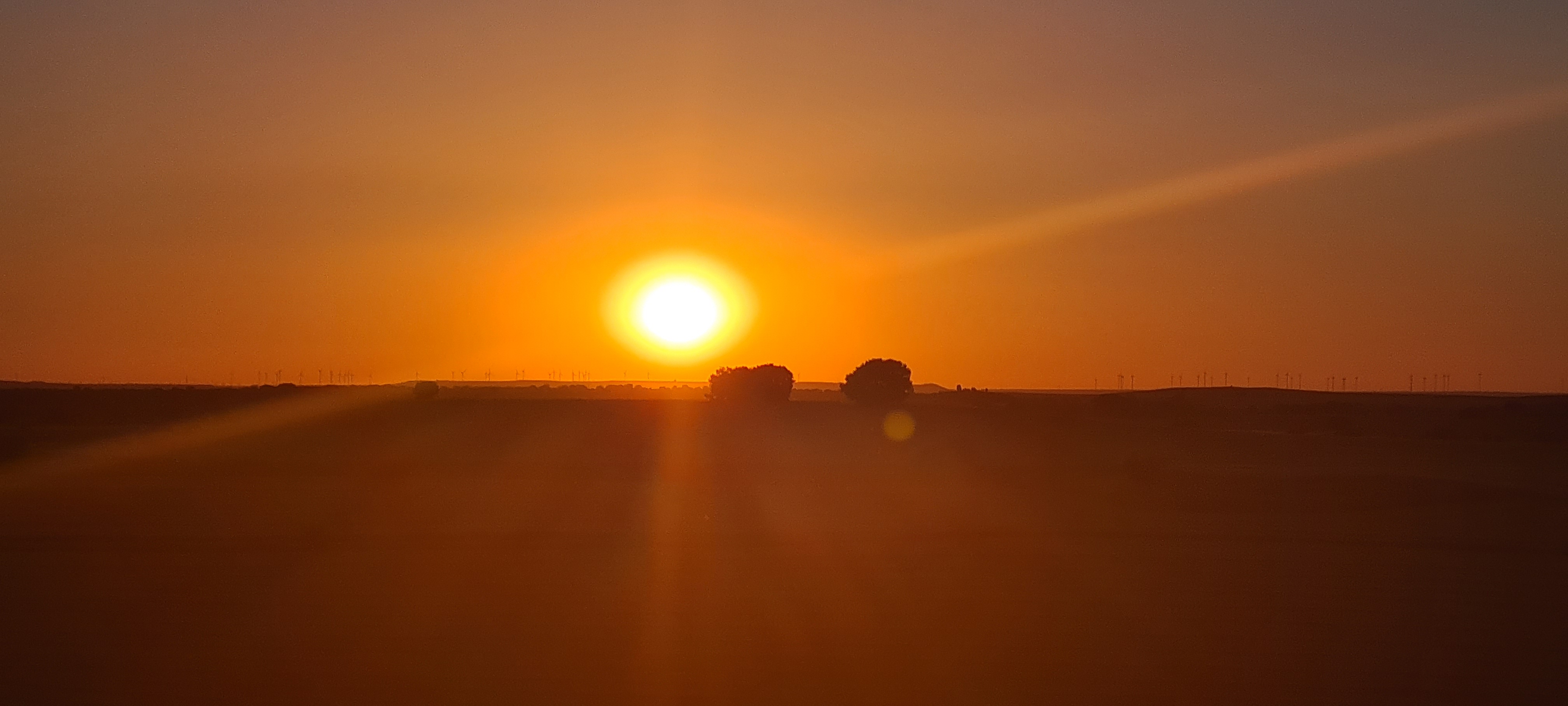 Tiñendo la tierra de rojo.